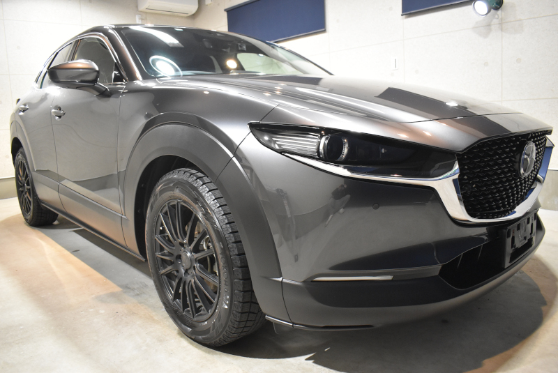 cx30si011.jpg