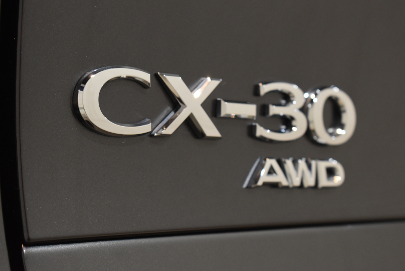 cx30si013.jpg