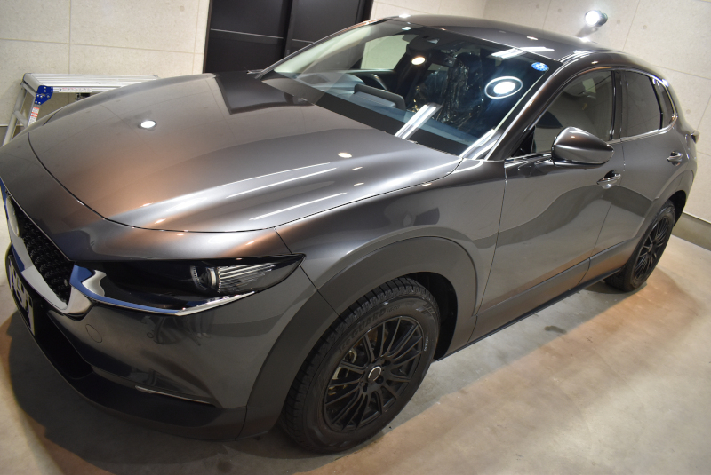 cx30si03.jpg