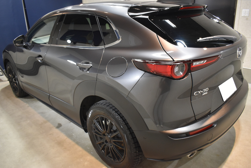 cx30si04.jpg