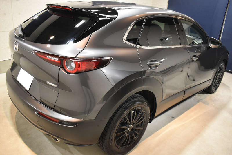 cx30si06.jpg