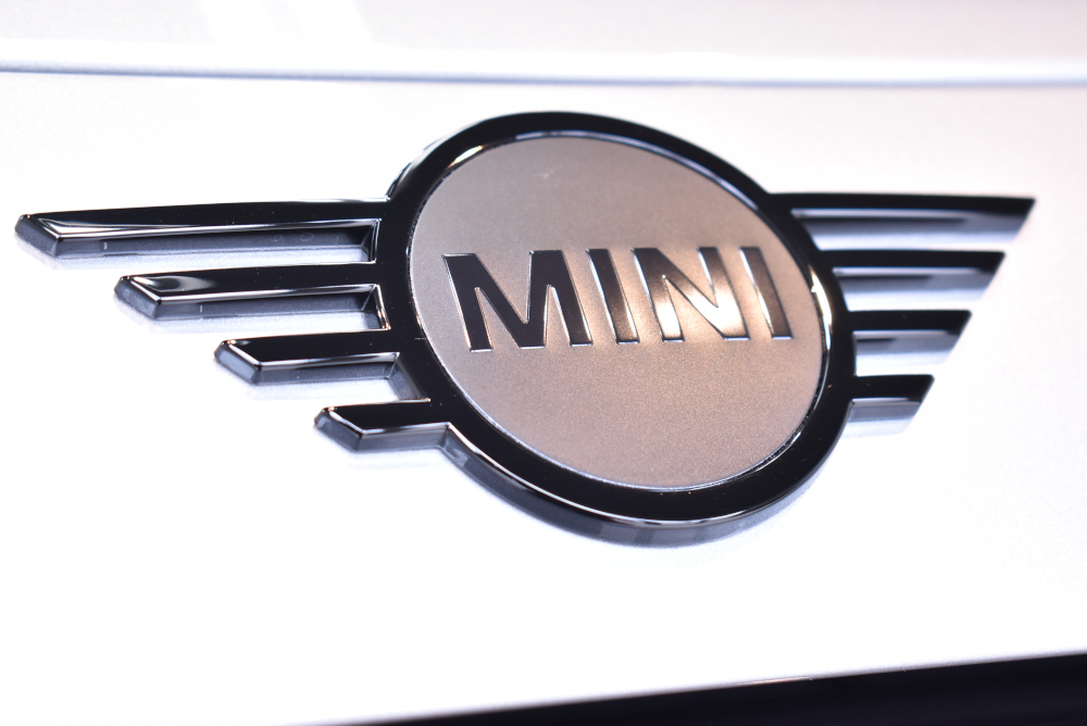 mini313.jpg