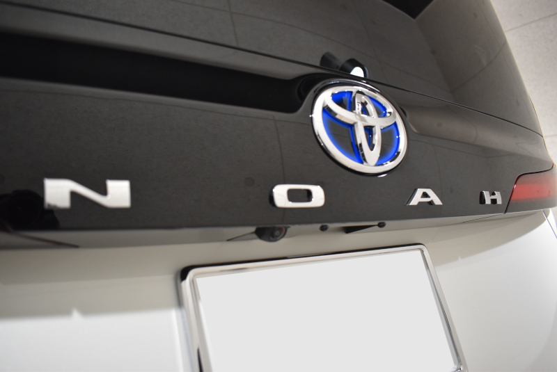 nnoa011.jpg
