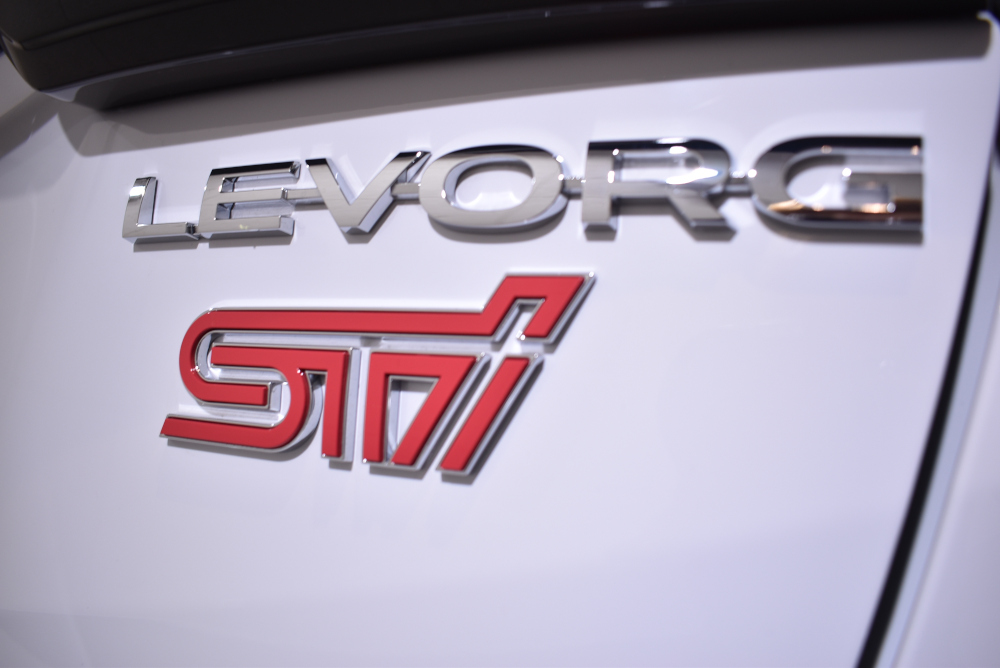 revo31.jpg